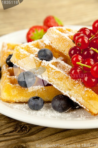 Image of fresh tasty waffer with powder sugar and mixed fruits