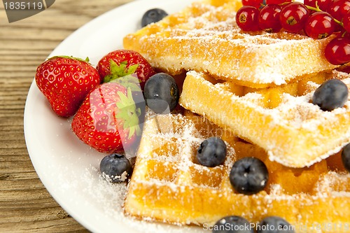 Image of fresh tasty waffer with powder sugar and mixed fruits