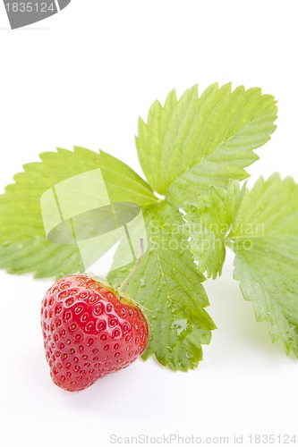 Image of fresh red tasty strawberry isolated on white