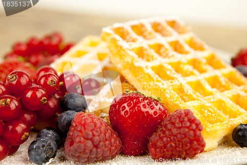 Image of fresh tasty waffer with powder sugar and mixed fruits