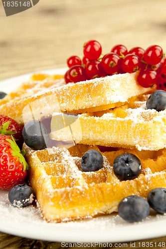 Image of fresh tasty waffer with powder sugar and mixed fruits