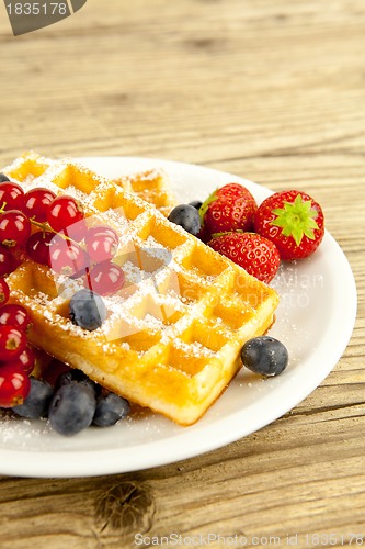 Image of fresh tasty waffer with powder sugar and mixed fruits