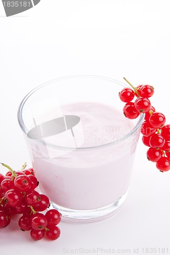 Image of fresh tasty currant yoghurt shake dessert isolated