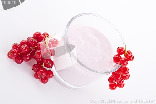 Image of fresh tasty currant yoghurt shake dessert isolated