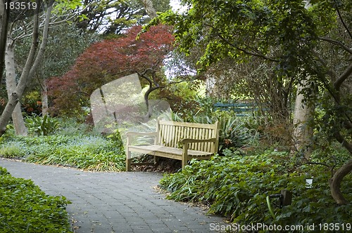 Image of The Park Bench
