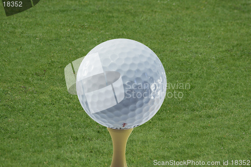 Image of A golf ball