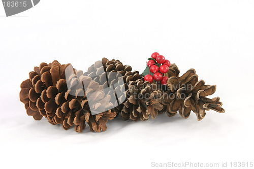 Image of Pine cone Christmas