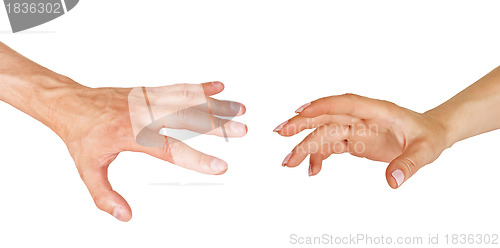 Image of Two hands, male and female