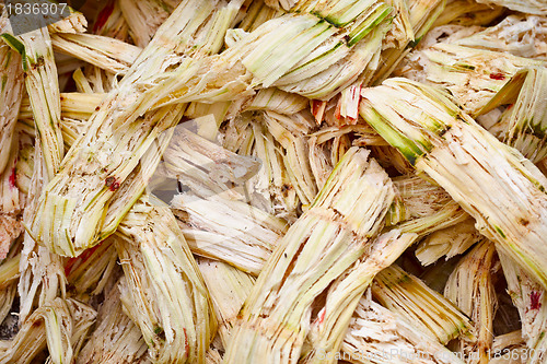 Image of Sugarcane bagasse