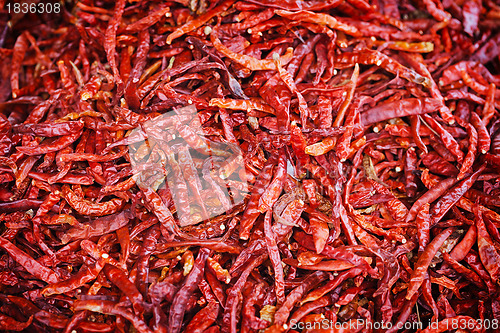 Image of Hot red pepper background