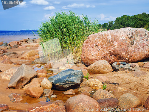 Image of Sea rocky beach