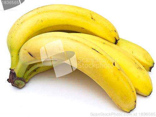 Image of bananas