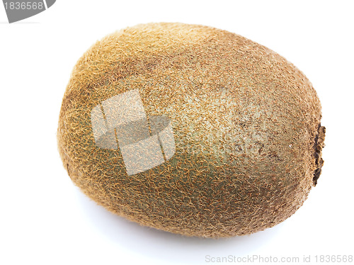 Image of kiwi