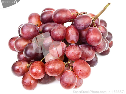 Image of grape