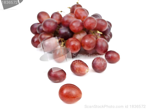 Image of red grape