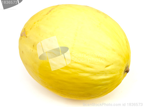 Image of yellow melon