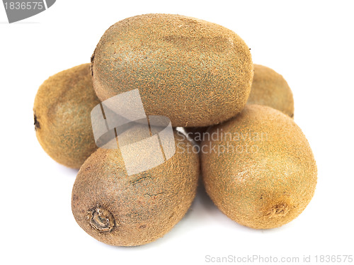 Image of kiwi