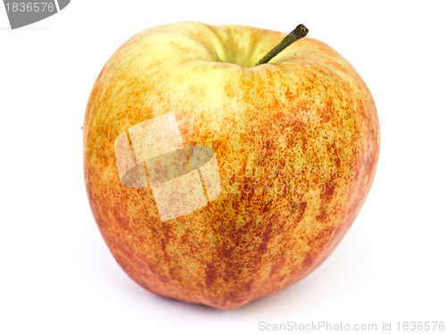 Image of apple