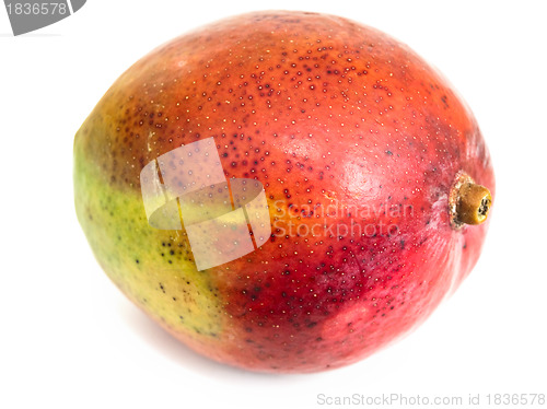 Image of mango