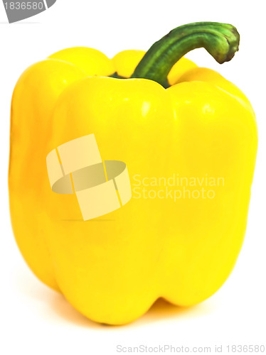 Image of yellow paprika