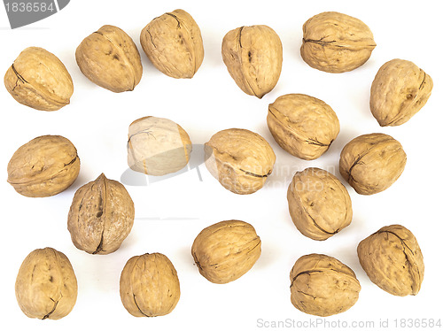 Image of walnut