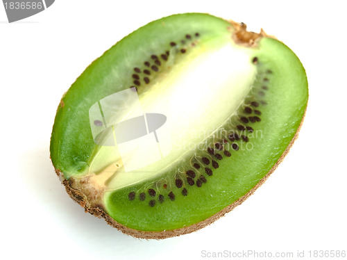 Image of slice of kiwi