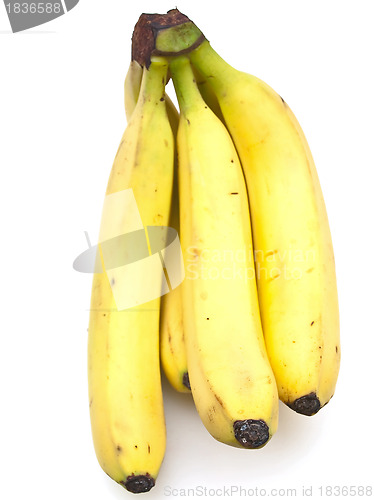 Image of banana