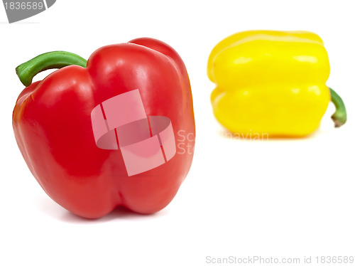 Image of paprika