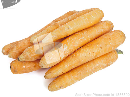 Image of carrots