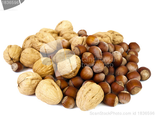 Image of hazelnuts and walnuts