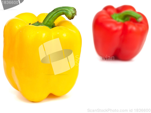 Image of paprika