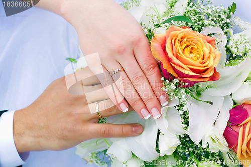 Image of hands of the newlyweds