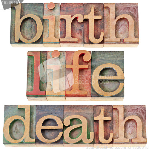 Image of birth, life, and death words