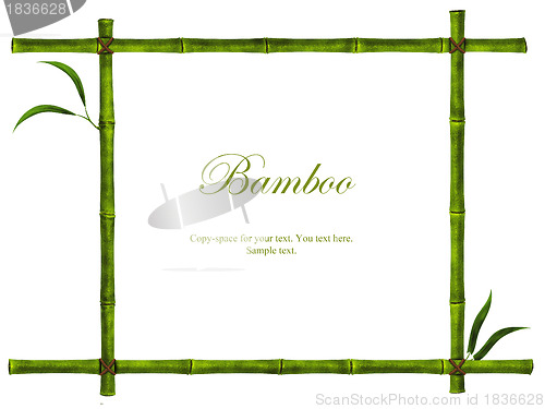 Image of bamboo frame