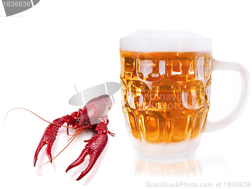 Image of crawfish and beer