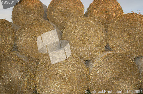 Image of Hay Rolls