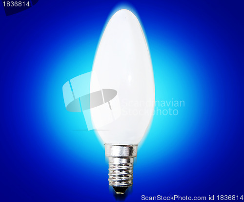 Image of White bulb