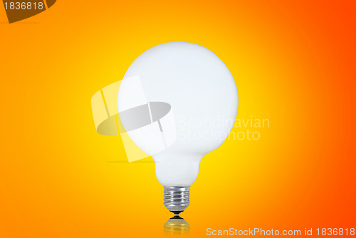 Image of White bulb