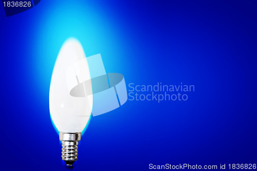 Image of White bulb