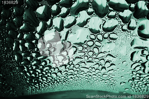 Image of Green drops of water - light from backside. Macro