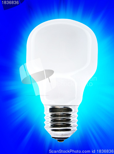 Image of White bulb