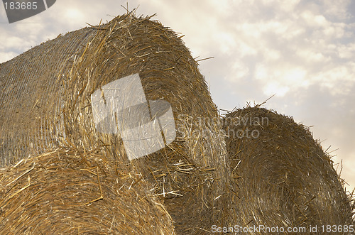 Image of Hay Rolls