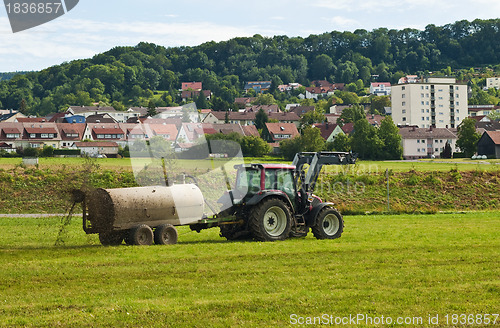 Image of dung