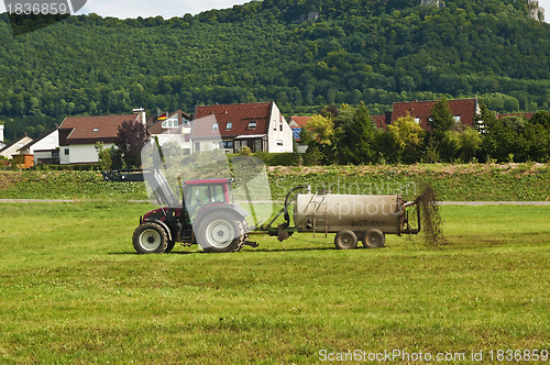 Image of dung