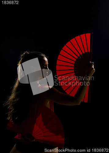 Image of Flamenco beauty