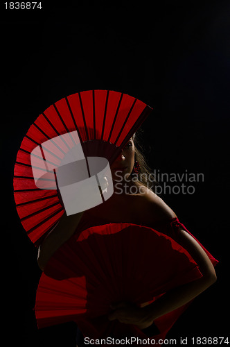 Image of Mysterious flamenco