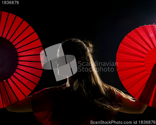 Image of Flamenco artist