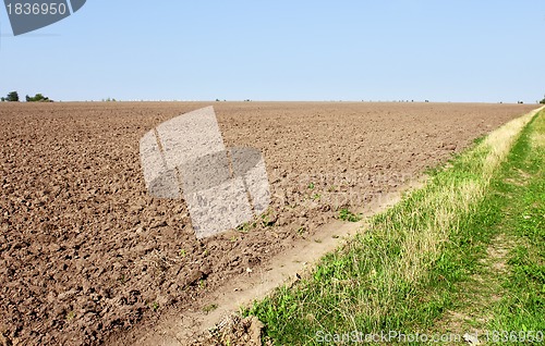 Image of Furrows near the field edge