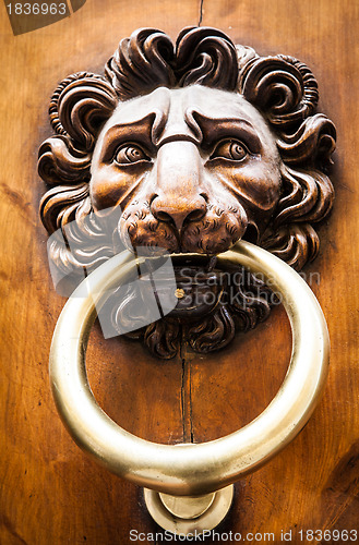 Image of Lion Head Door Knocker