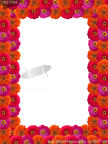 Image of Petals